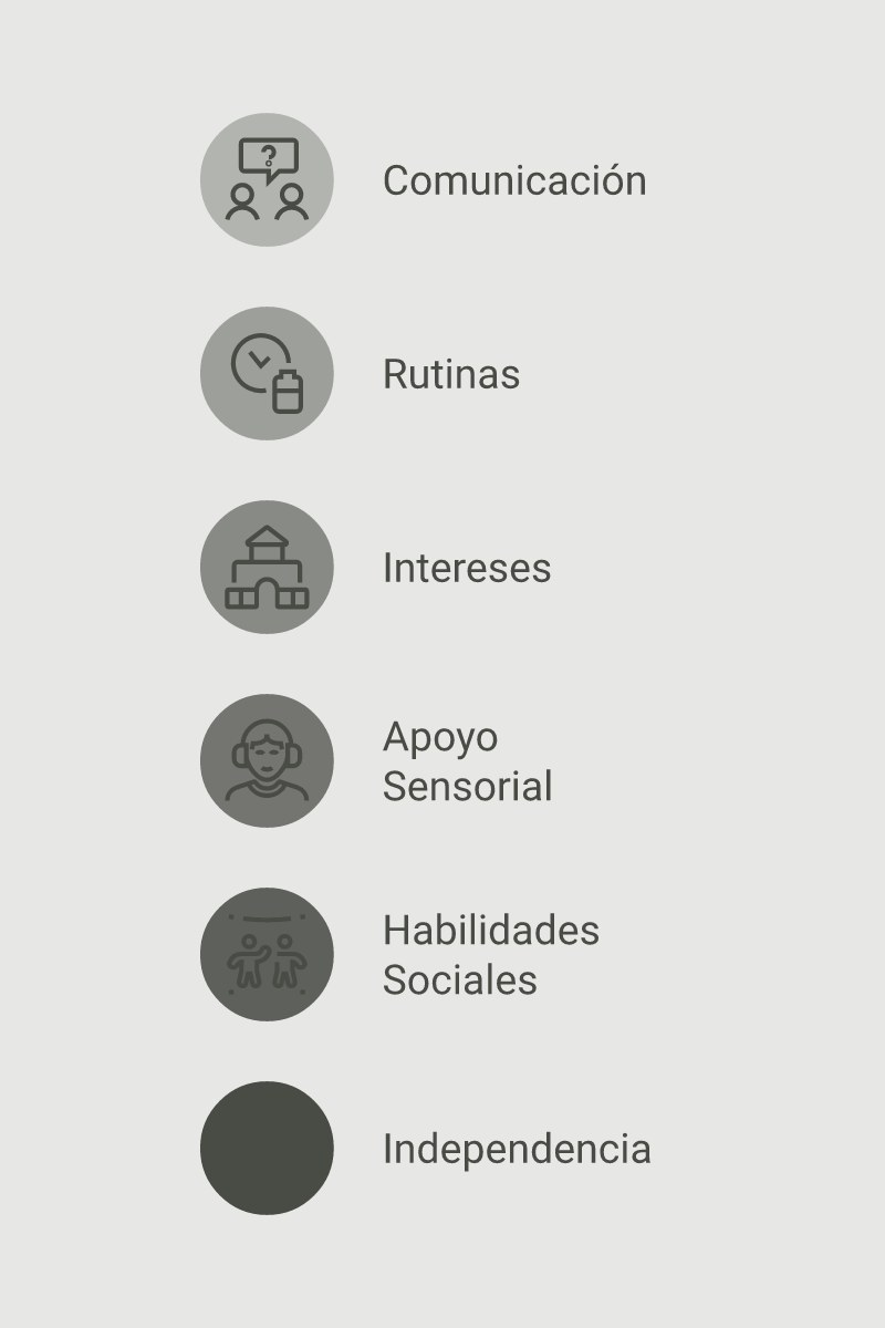Esquema conceptual de la intervención integral del acompañante terapéutico