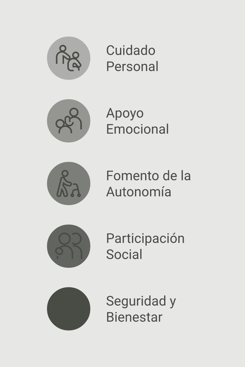 Infografía: síntesis visual de acompañante terapéutico adultos mayores